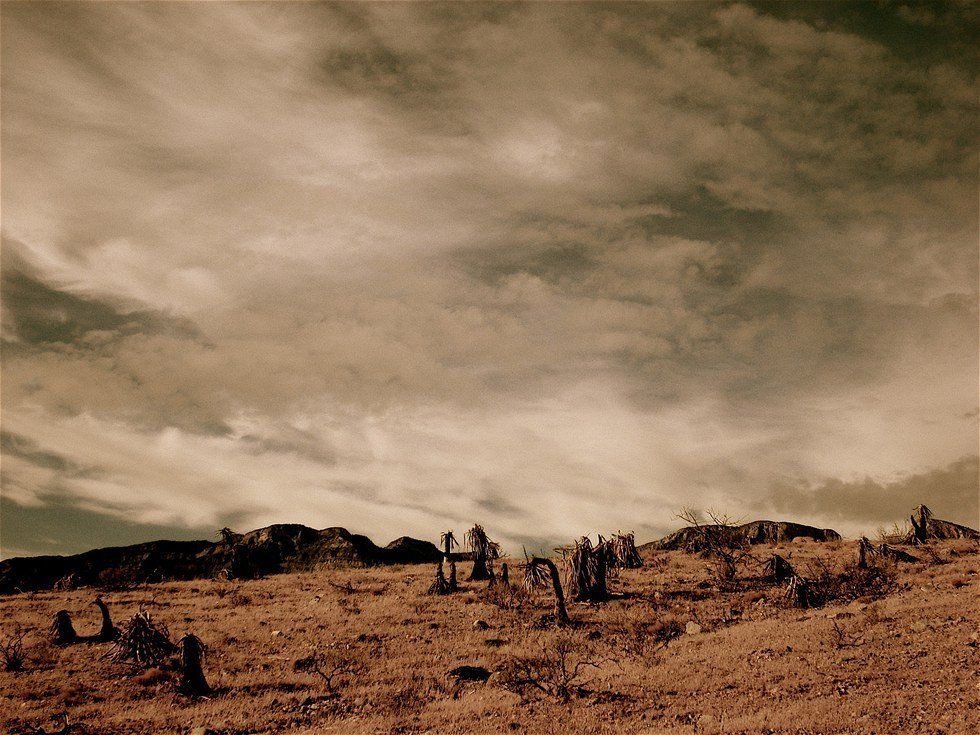 Is It Worth It To Pursue God?