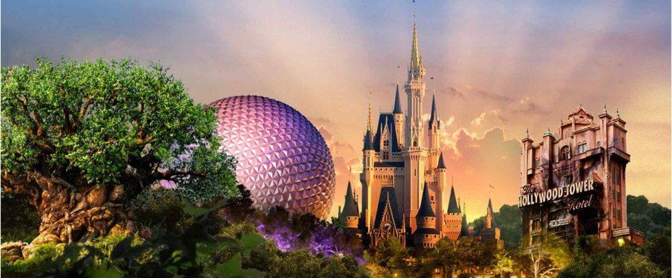 The 10 Stages of Applying for the Disney College Program