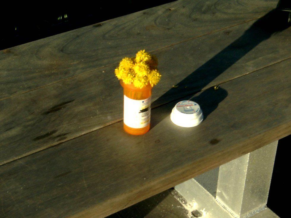 Zoloft And I Got Along Just Fine