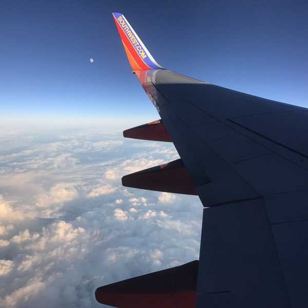 To Those Who Have A Fear Of Flying