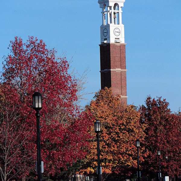 What I Gained From My Biggest Struggle