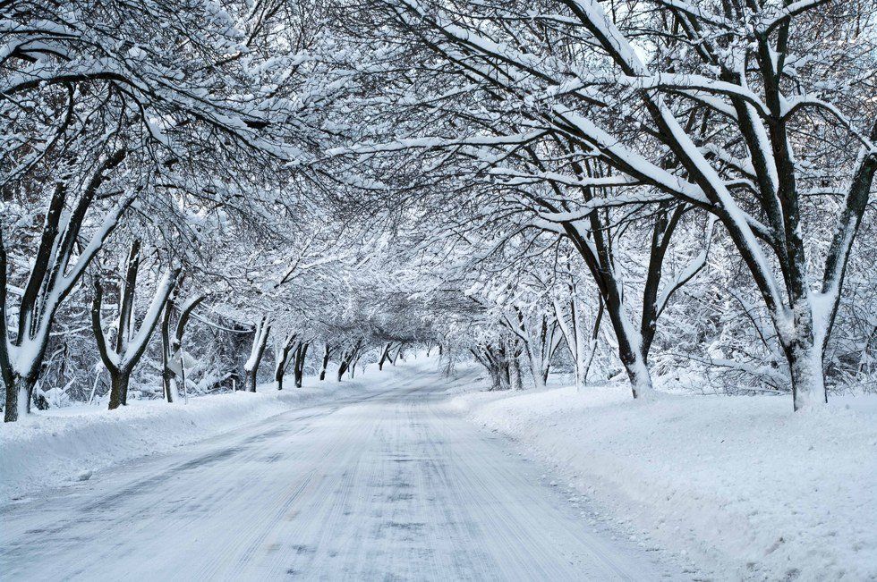 7 Things To Do In Winter