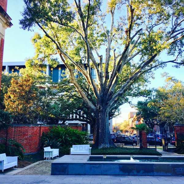 The 5 Best Places To Study For Finals At Tulane