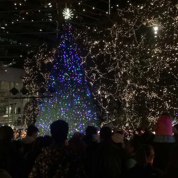 RVA's 2016 Grand Illumination