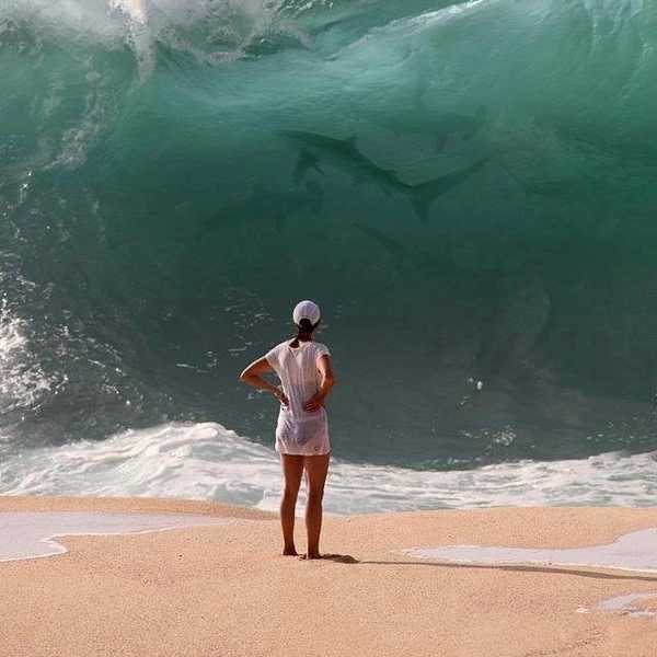 The Foolproof Method of Getting Through Finals Week