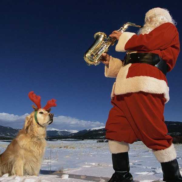 15 Best Christmas Songs To Get You Through Finals