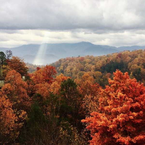 Finding Your Divine Purpose In A Chaotic World