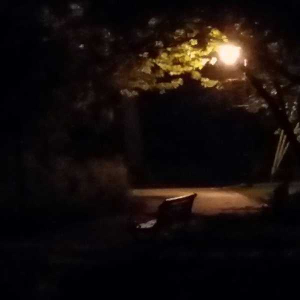 The Worst Year In History?