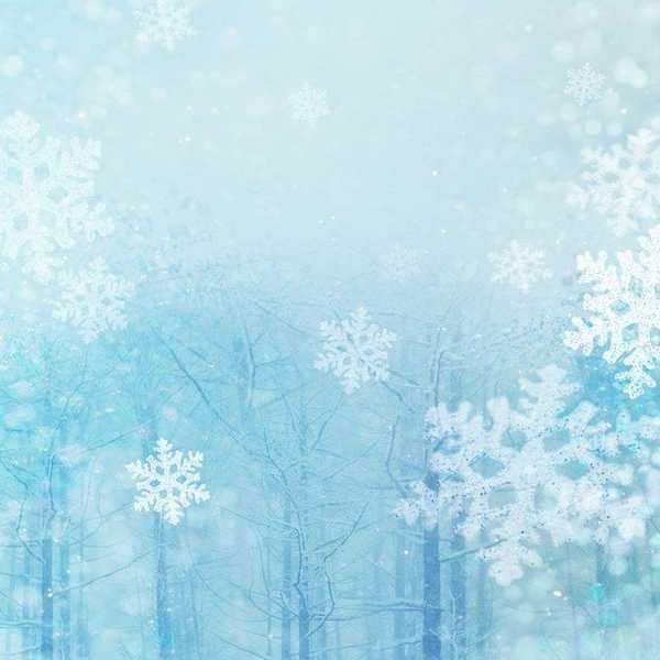 Top 5 Lesser-Known Christmas Songs