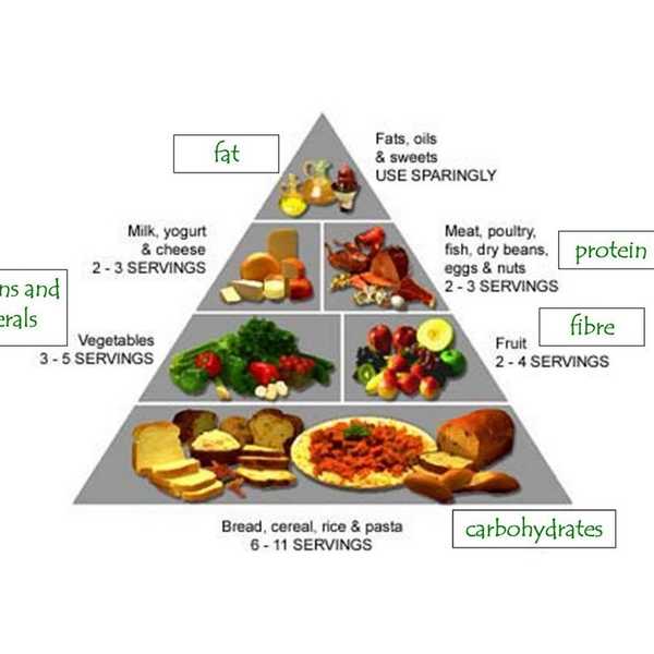 Three of the Most Overlooked Aspects of Dieting
