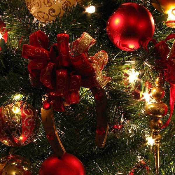 10 Things College Students Don't Want To Hear Over The Holidays