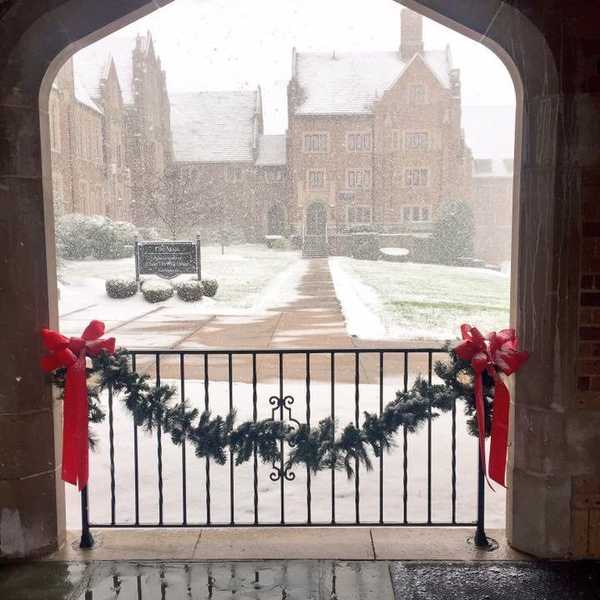 The Mixed Opinions Of The First Snow Fall