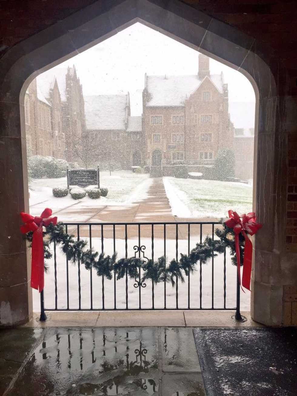 The Mixed Opinions Of The First Snow Fall