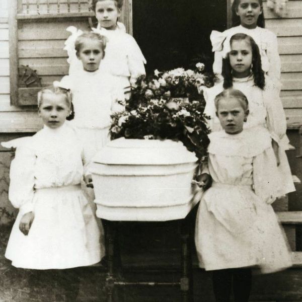 The Last Will And Testament Of A Bottle Blonde