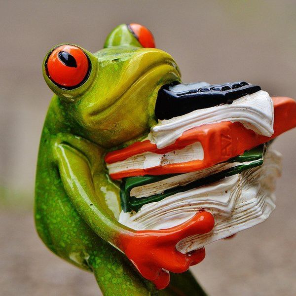 What To Do During Finals Week