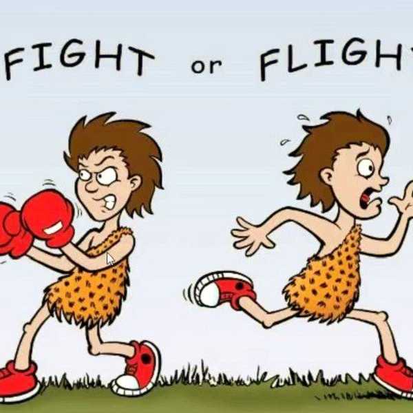 Run For Your Stress