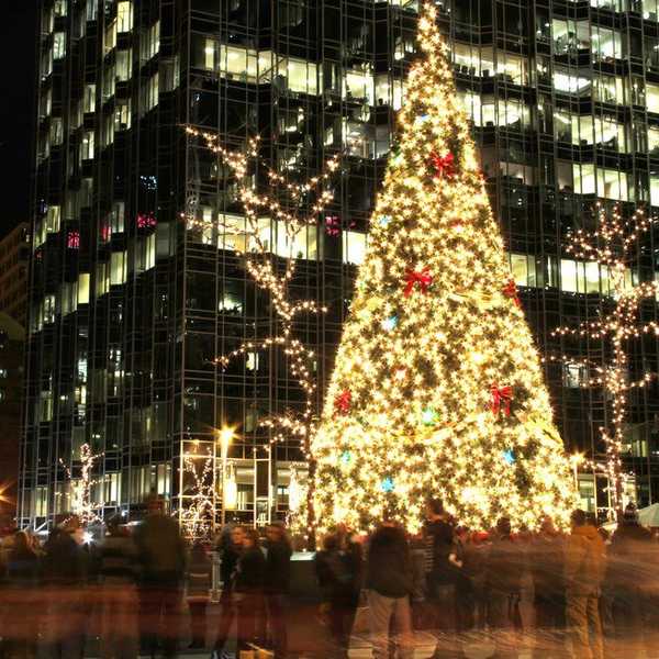 If You're Not At PPG Place's Wintergarden At Christmastime You're Missing Out