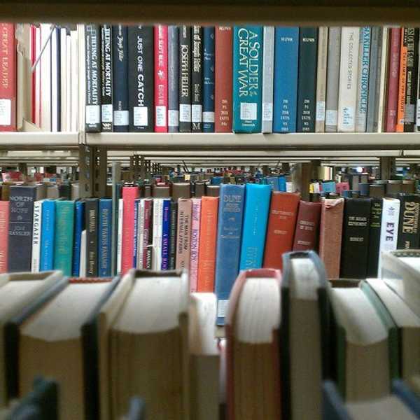 6 Of My Favorite Study Buddies
