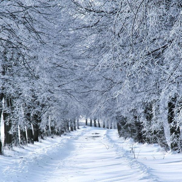 7 Things To Do As Soon As You Get Home For Christmas Break