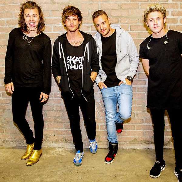 True Life: I'm a One Direction Fan