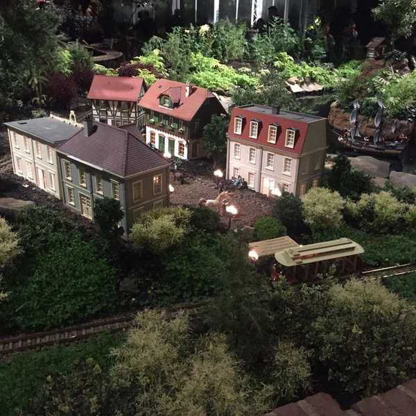 Winter Break Bucket List