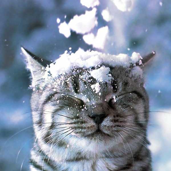 7 Reasons Why Cold Weather is Superior to Warm Weather