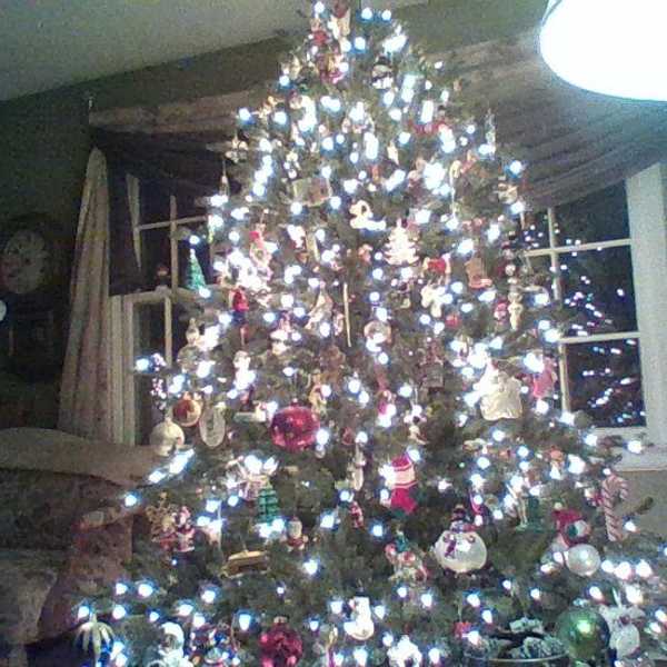 5 Christmas Traditions