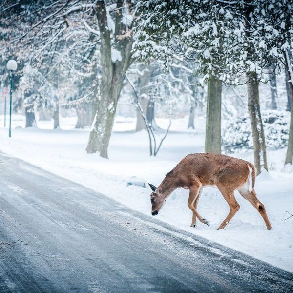 7 Signs You Love Winter
