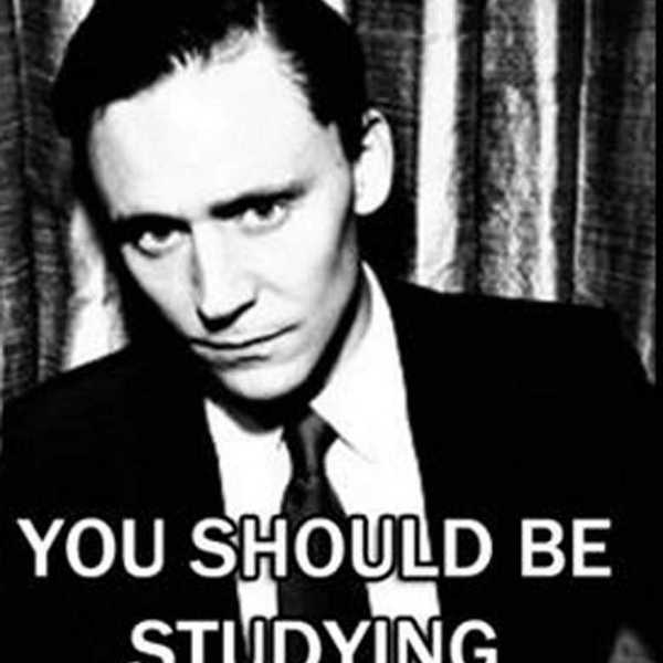 De-stressing During Finals