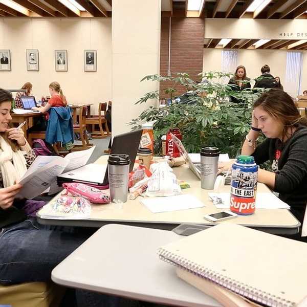 Why College Students Hate Group Projects