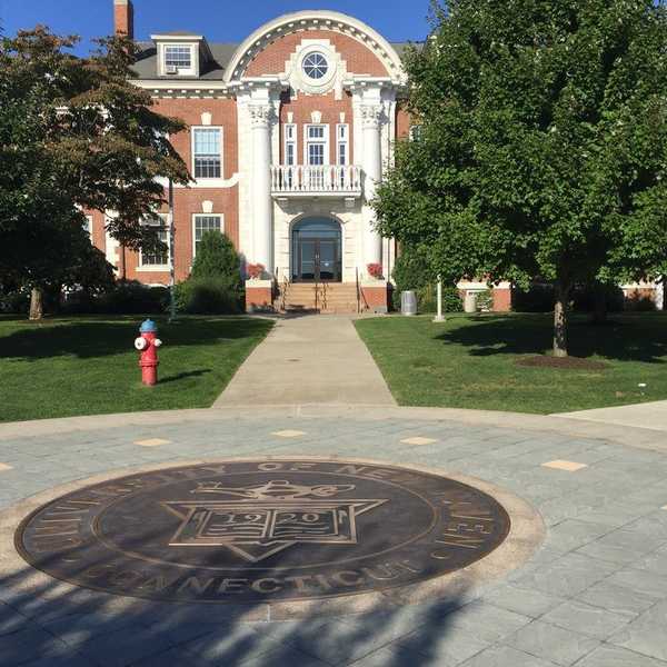 Why I Chose the University of New Haven