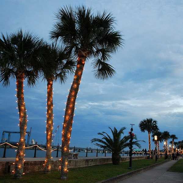 How To Celebrate Christmas Like A Floridian