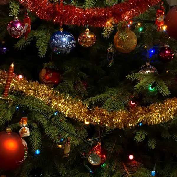 20 Of The Worst Things To Say To A College Kid During The Holidays