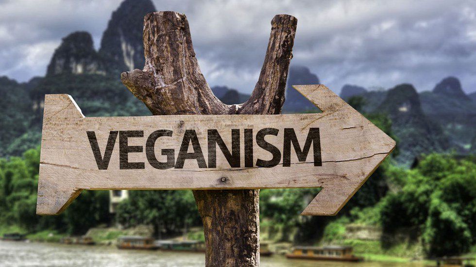 Veganism Is Not A Diet, It Is A Lifestyle