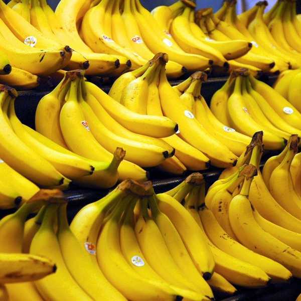 The Price We Pay for Cheap Bananas
