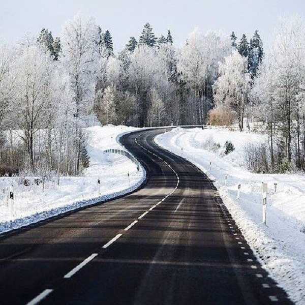 The Life That We Live