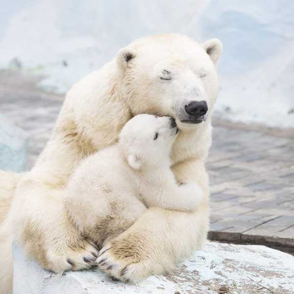 An Open Letter To My Favorite Stuffed Animal