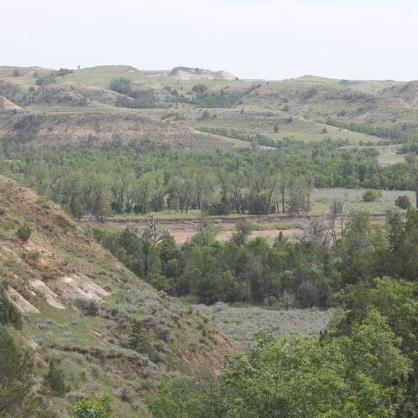 "Where Are You Really From?"