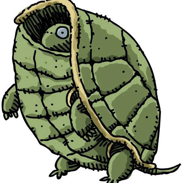 15 Problems Shy People Experience