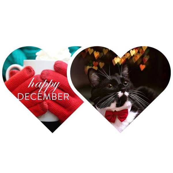 5 Things I Love About December