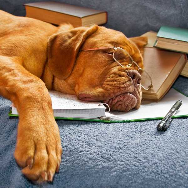 10 Ways To Procrastinate Without Feeling Like You Are