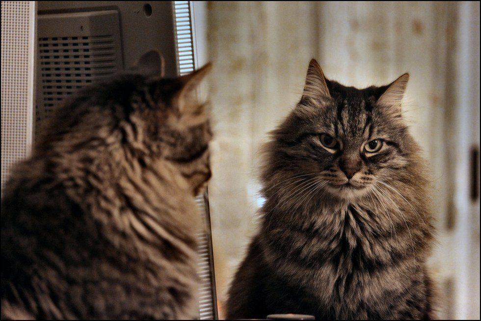 Final's Week Pep Talk