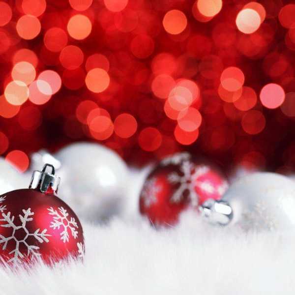 10 Fun Things To Do This Christmas Season