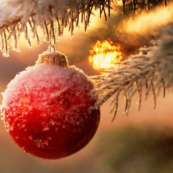 5 Ways For Millennials To Have A Happier Holiday Season