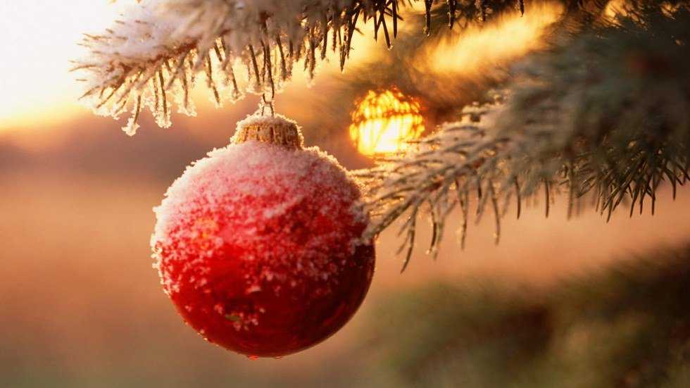 5 Ways For Millennials To Have A Happier Holiday Season
