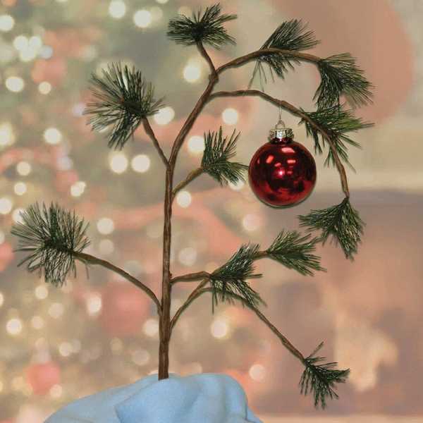 Christmas in College