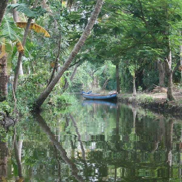 What A Trip To Kerala, India Is Like