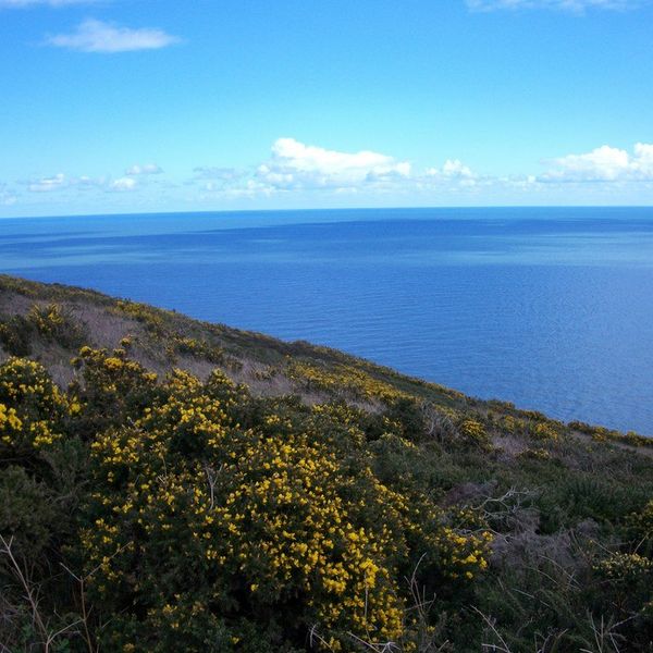 The Trip Of A Lifetime