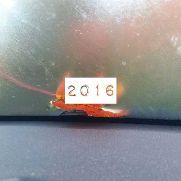 My Year In Review: Big Scary Decisions