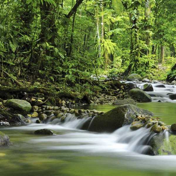 10 Simple Ways You Can Help Protect the Environment